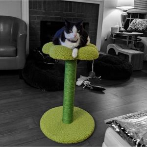 NWT- Cat Flower Scratching Post, Perch and Activity Tree with Teaser Bal…